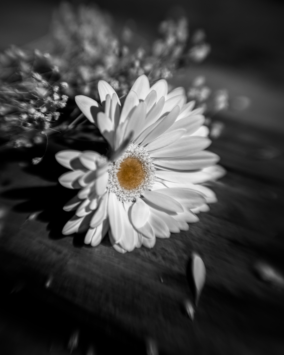 02-20-21---BNW---1.jpg