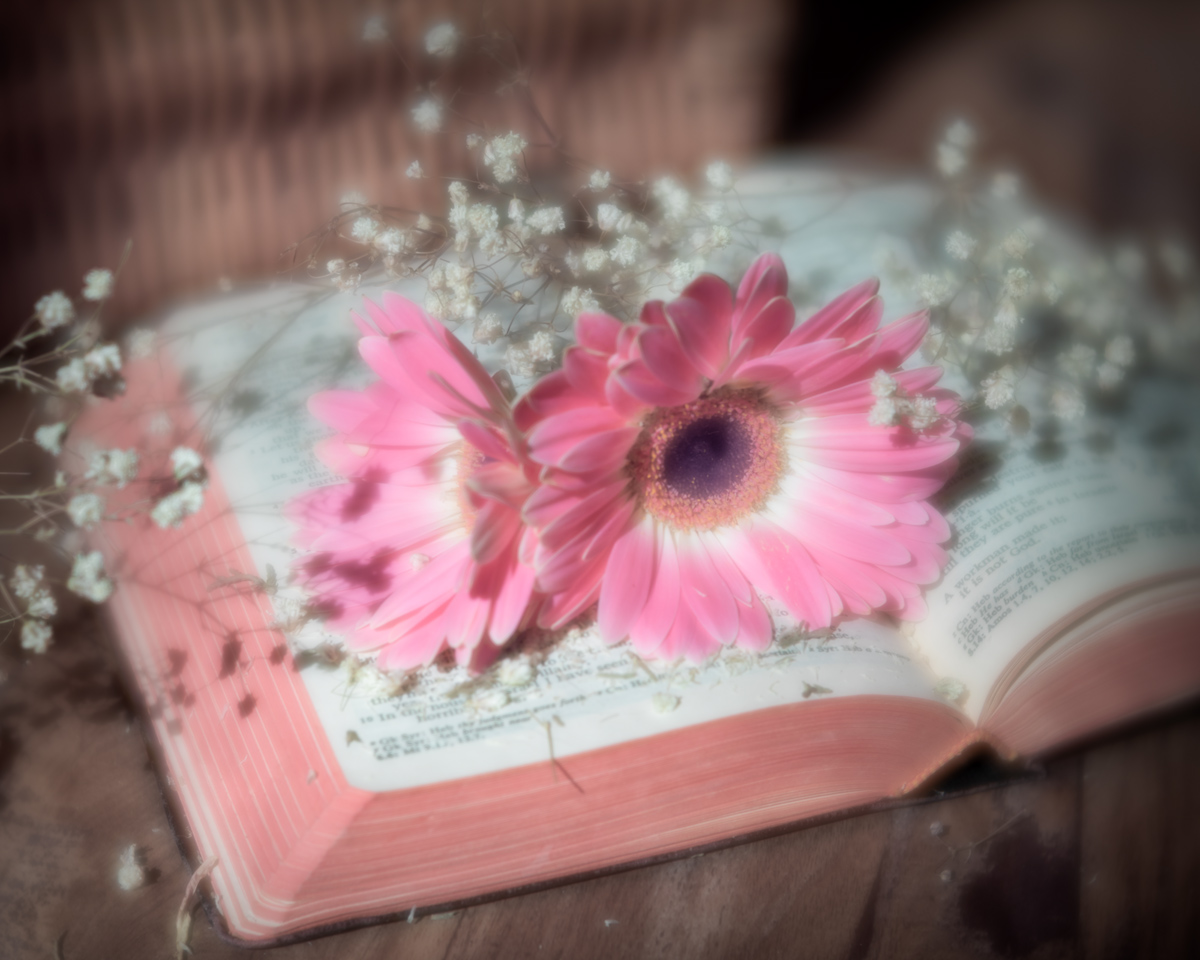 02-20-21---IR---5-LV-NF.jpg