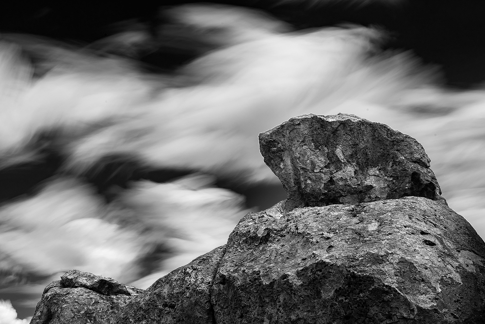 0242bw.jpg