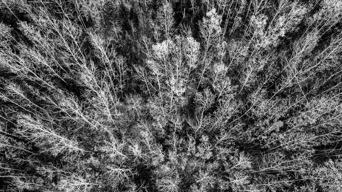 02CE28E2-7D1A-4D9E-BAFD-0494AB45DE89.jpeg