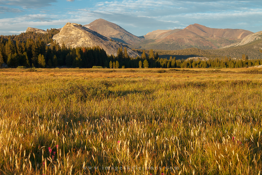 0359 Tuolumne Meadows Sunset_850.jpg