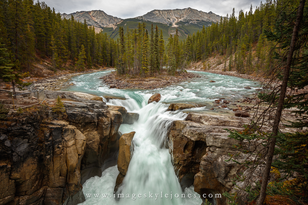 0467 Sunwapta Falls_1200.jpg