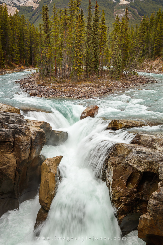 0469 Sunwapta Falls Portrait_850.jpg