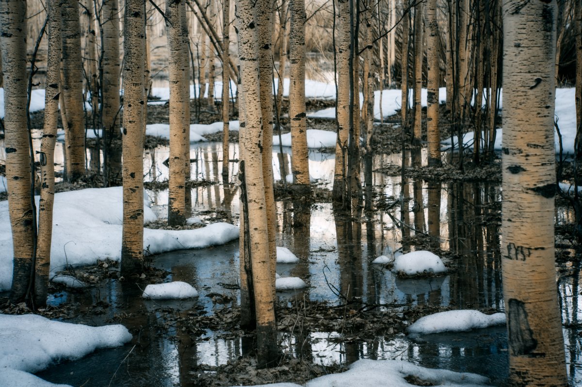 05-12-2019 - Cimarron - 13.1.jpg