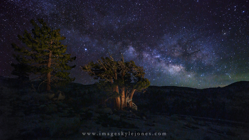 0505 Trees Stars and Rocks_850.jpg