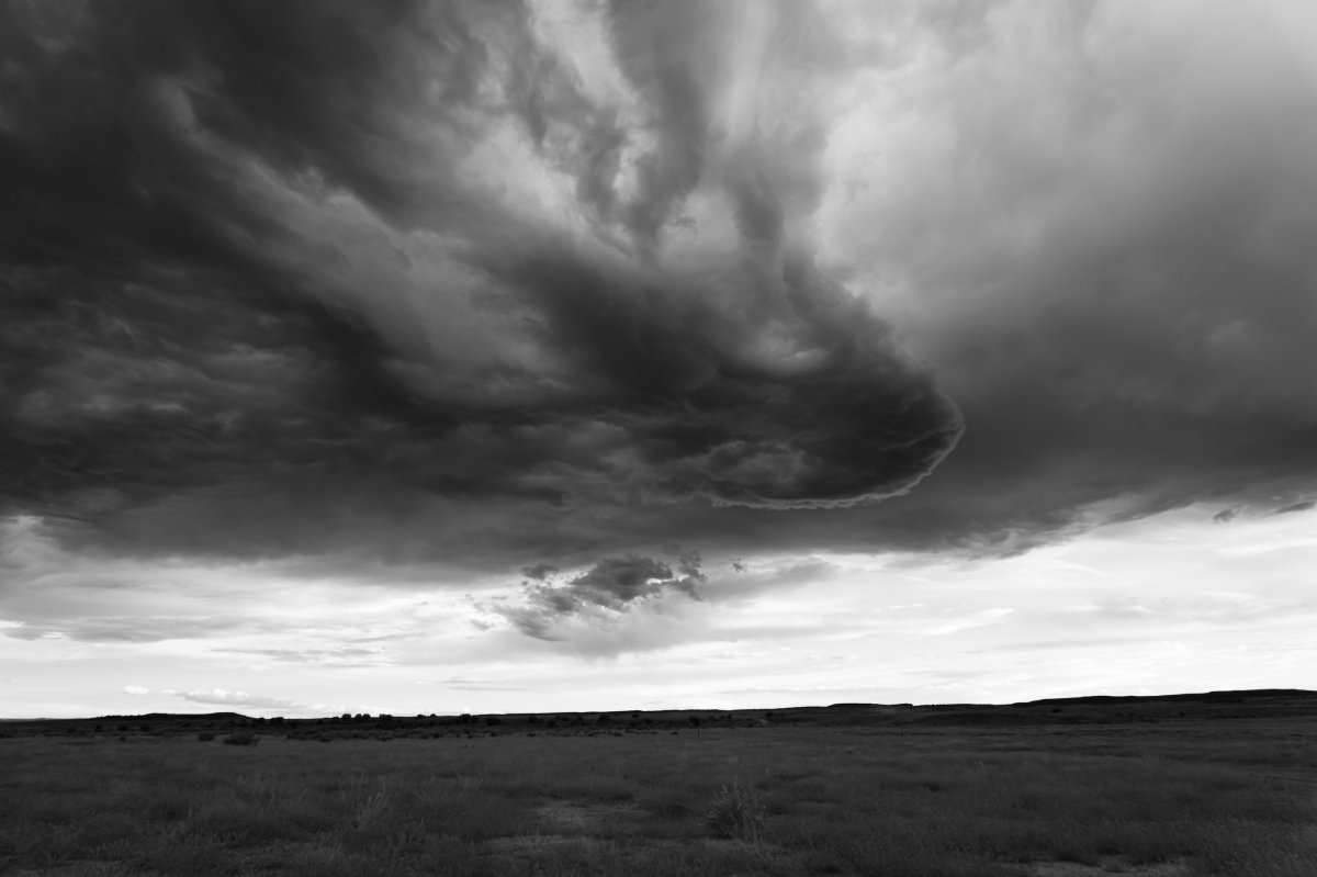06-13-2019 - BW - 1.jpg