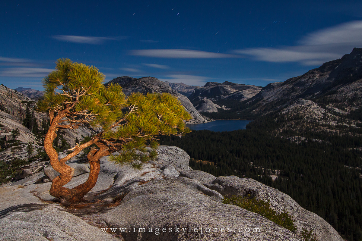 0626 Olmstead and Tenaya by Moonlight_1200.jpg