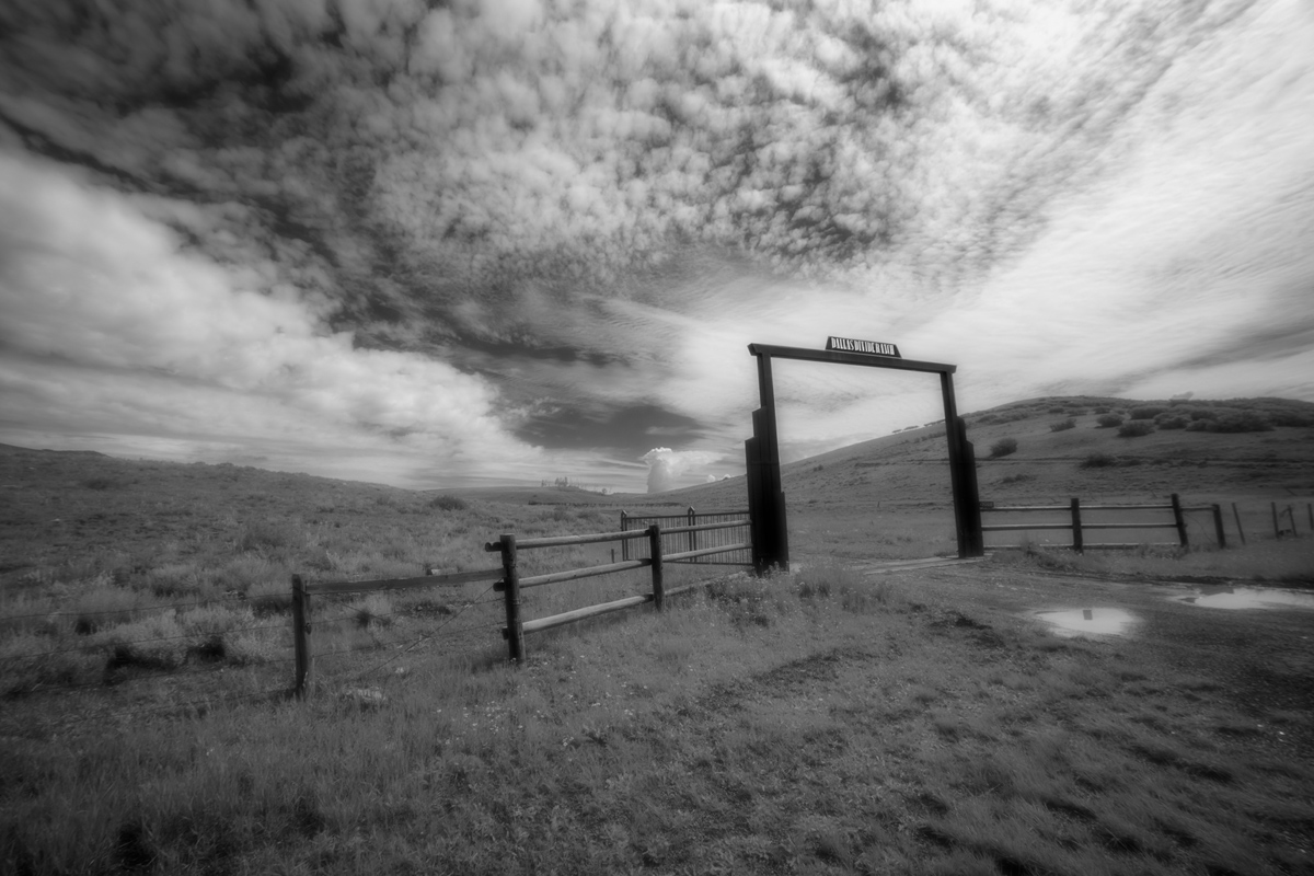 07-31-2021---8BNW.jpg