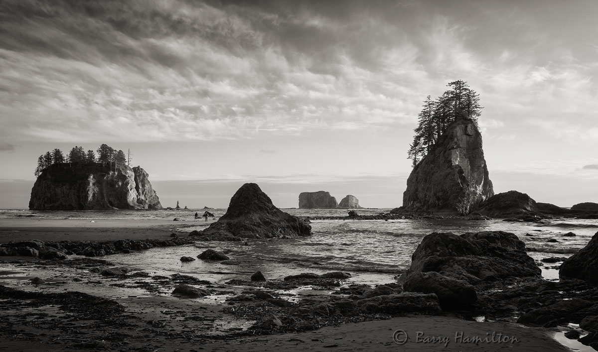 070826_BH_1570bw.jpg