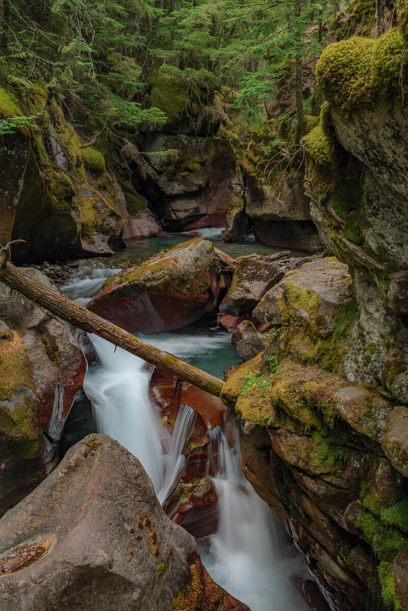 0757 Avalance Creek Falls_Website.jpg