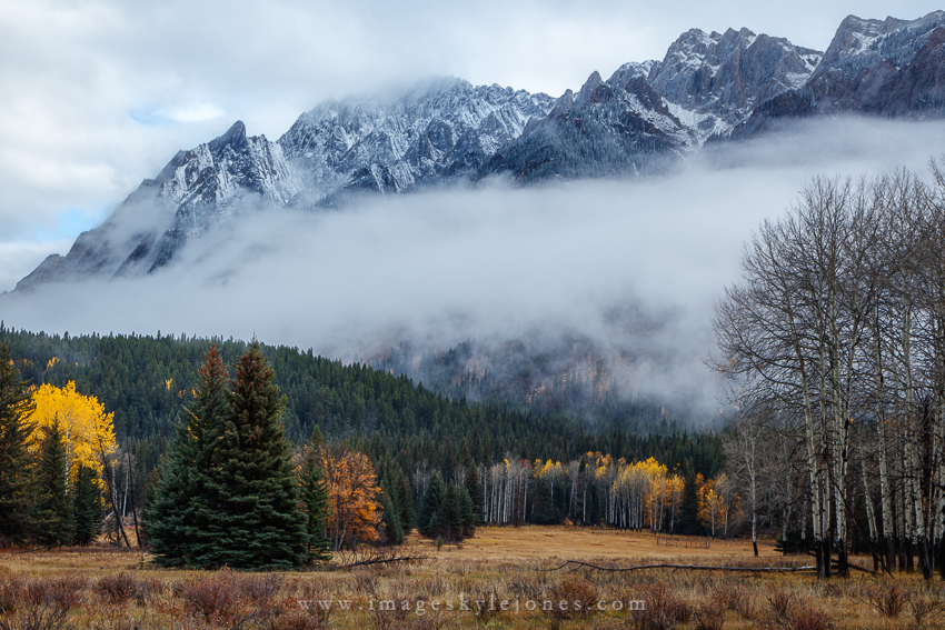 0767 Autumn and Winter_850.jpg