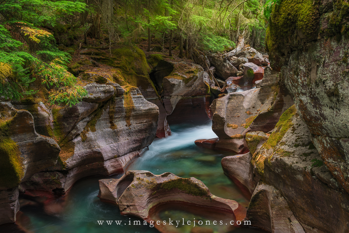 0770 Avalanche Creek_1200.jpg