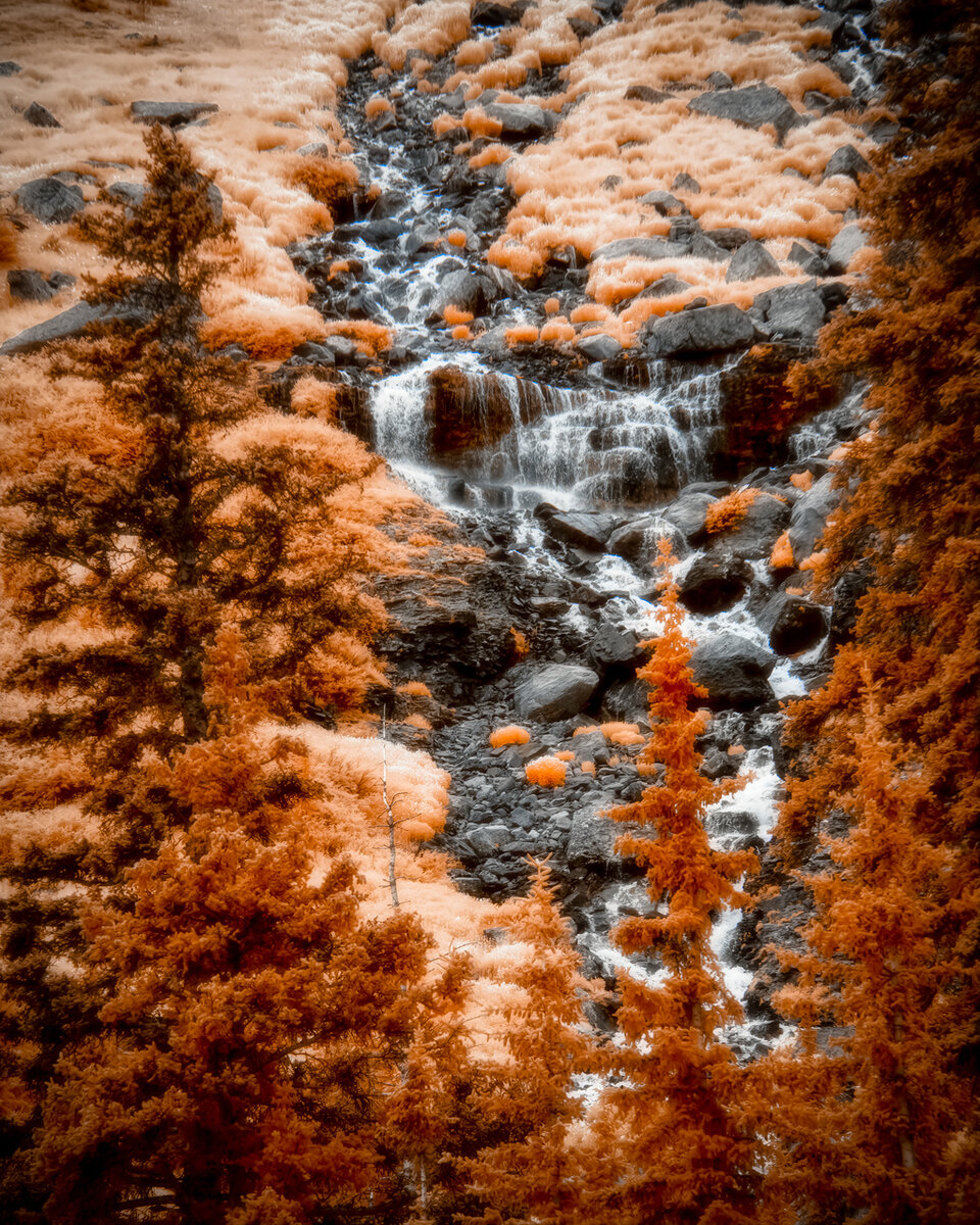 08-10-2019-Blue-Lake-7.2.jpg
