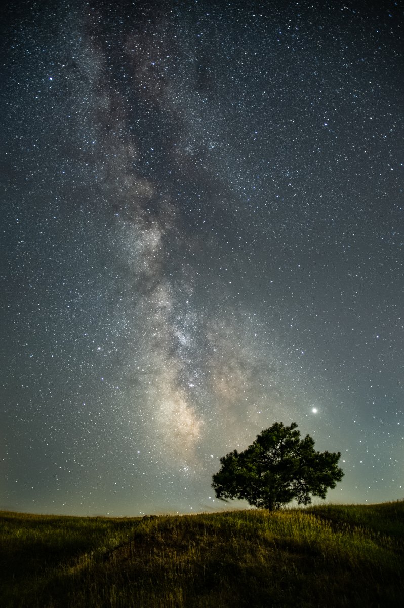 08-27-2019Starry.jpg