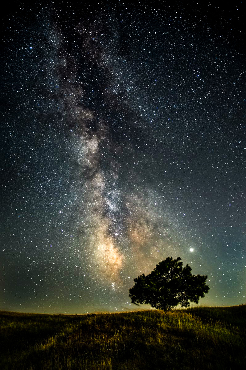 08-27-2019Starry.jpg