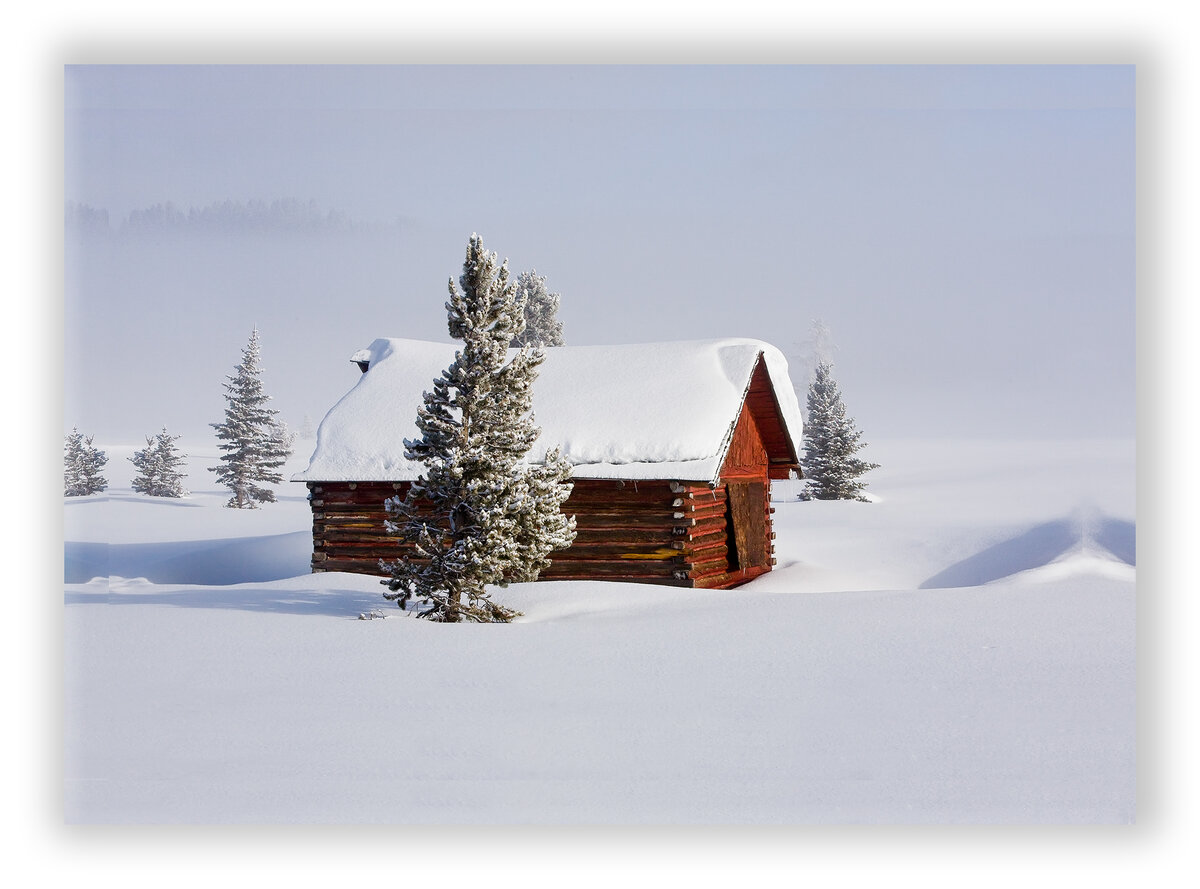 0802_Yellowtone16_046 WYS Cabin Trees 2012 Rev NR Crv 15 x 22 cnvs 2017 SLSH.jpg