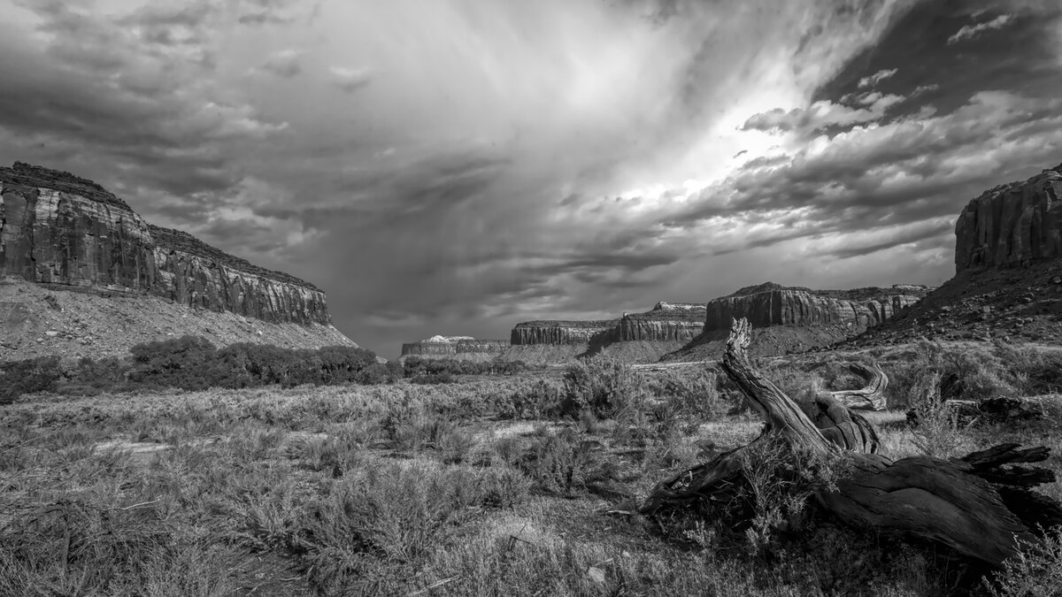 081003_mk3_3064b&w A.jpg
