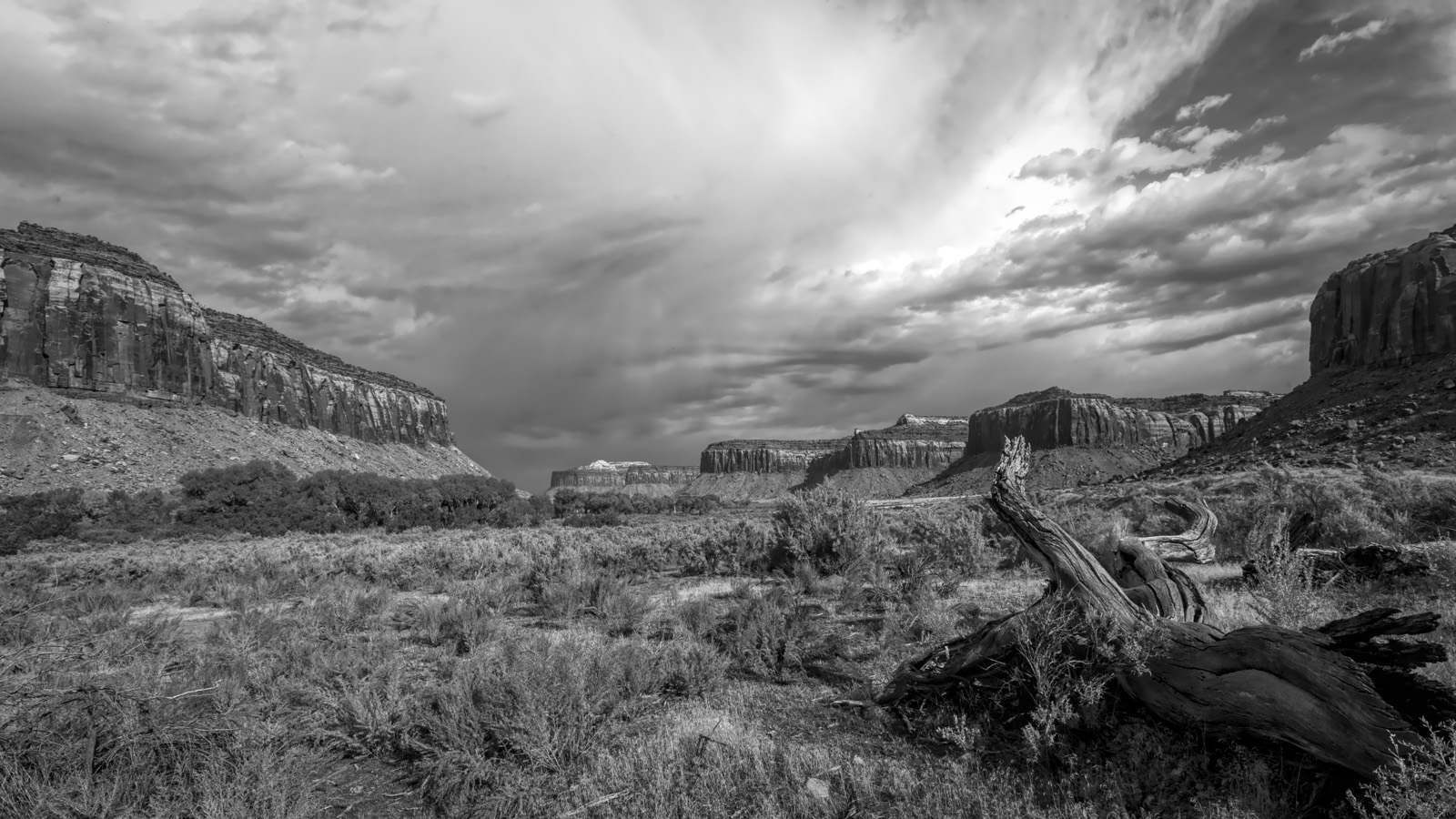 081003_mk3_3064b&w.jpg