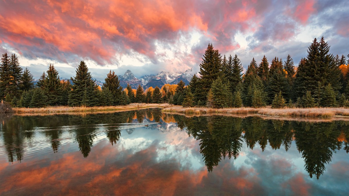 081007_mk3_3381 2-3-2017 no sh bw sharp v.jpg