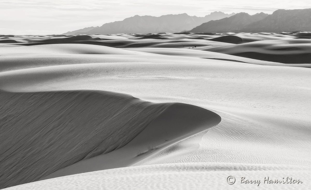 081220-BSH-7345bw.jpg