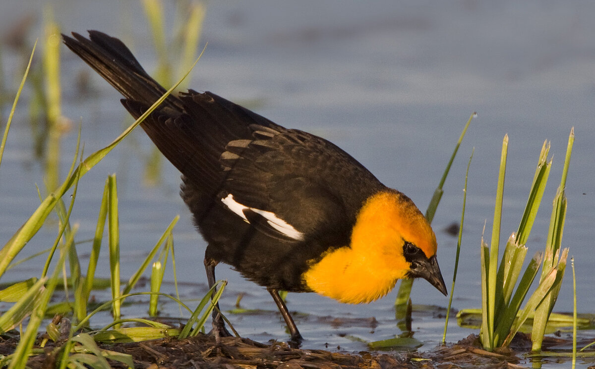 090502_50d_3845less spiral.jpg