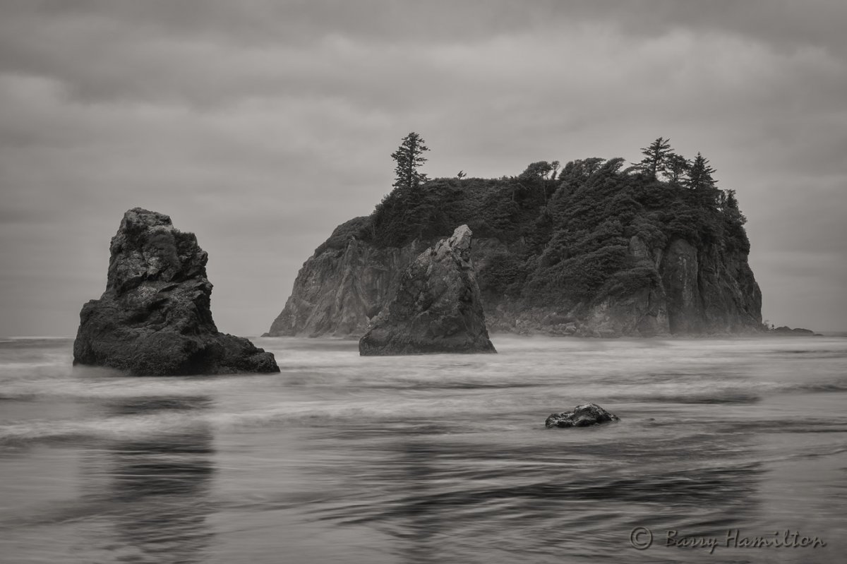 090814_BH_2363bw.jpg