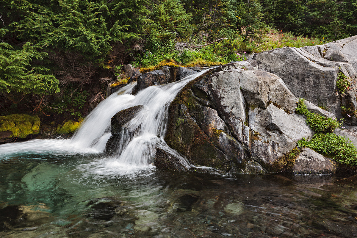 090825_mk3_5729.jpg