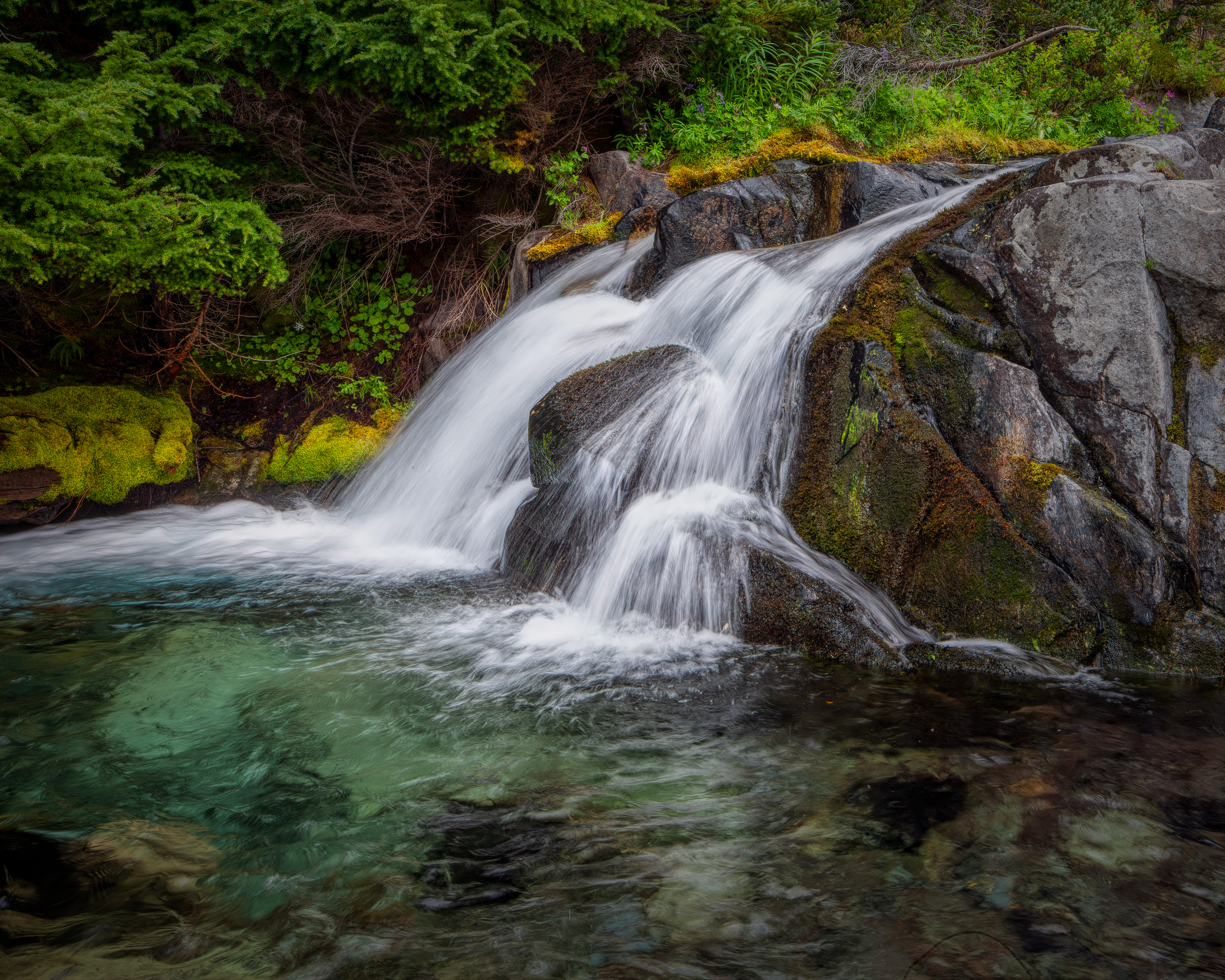 090825_mk3_5730.jpg