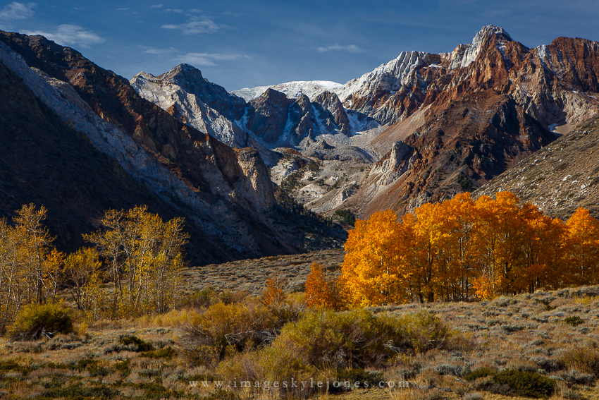 0926 McGee Aspens_850.jpg