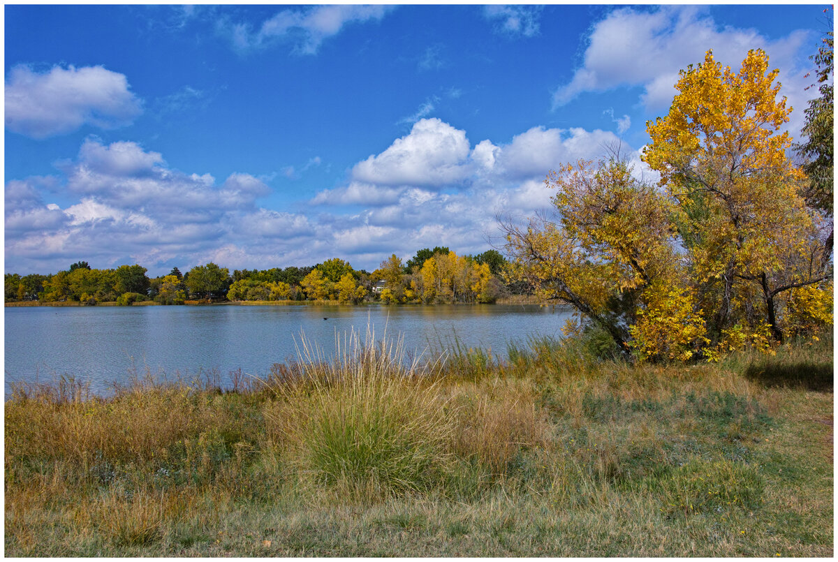 1-leaves.jpg