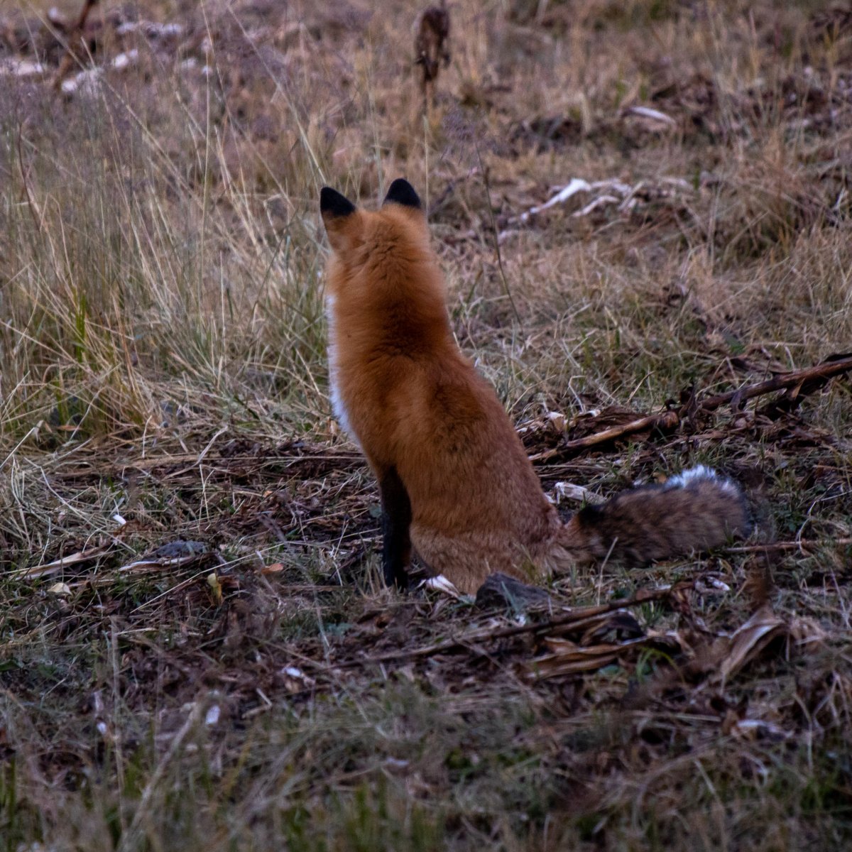 10-07-2019 - Cimarron - 7.jpg