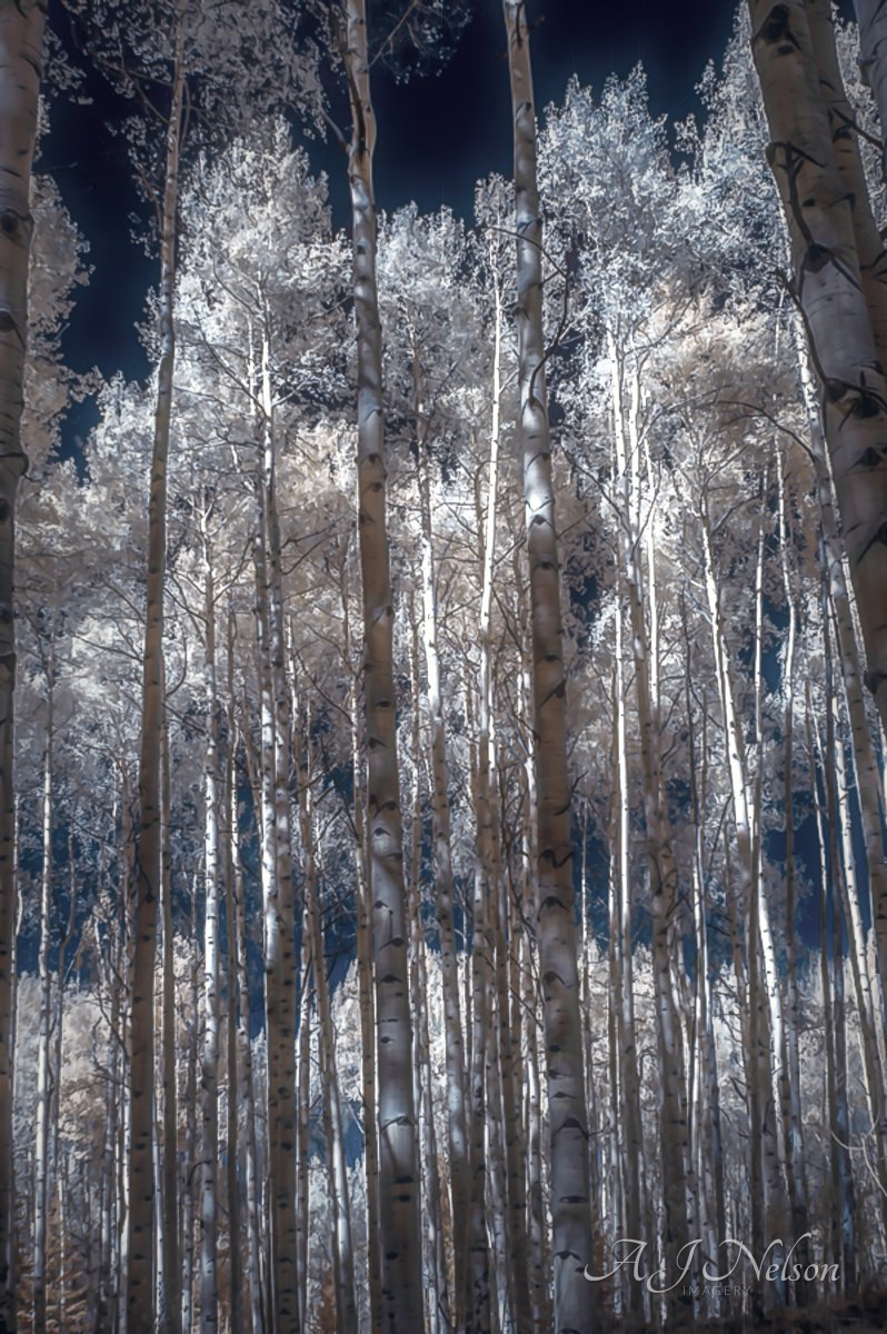 10-08-2018 - 10.1.jpg