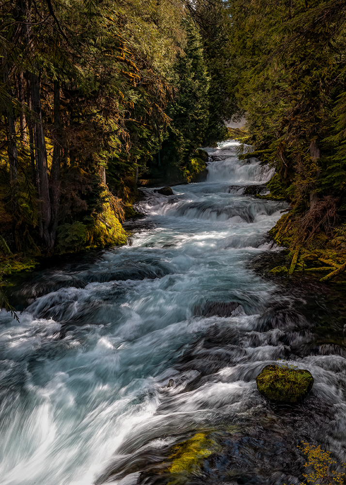 100524_mk3_0258-CR2_DxO_DeepPRIME.jpg