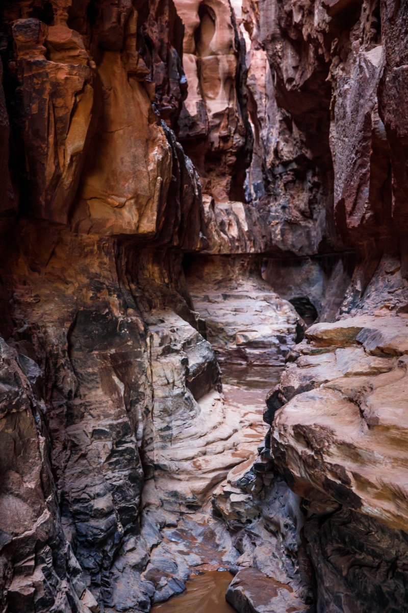 1010 Wadi Rum Slot Canyon_Website.jpg