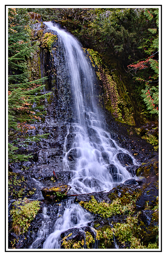 10D_1457.jpeg