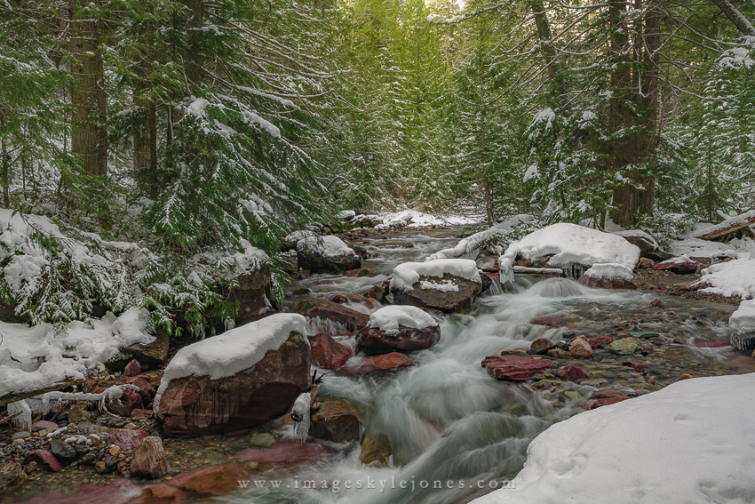 1196 Avalanche Creek Landscape_850.jpg