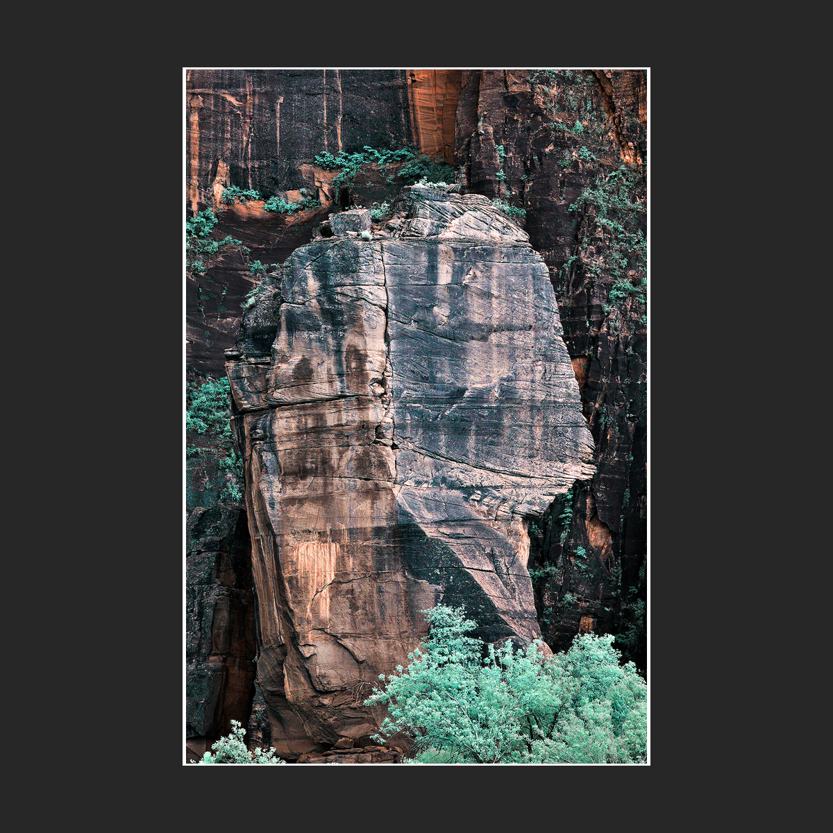 1200x12.jpg