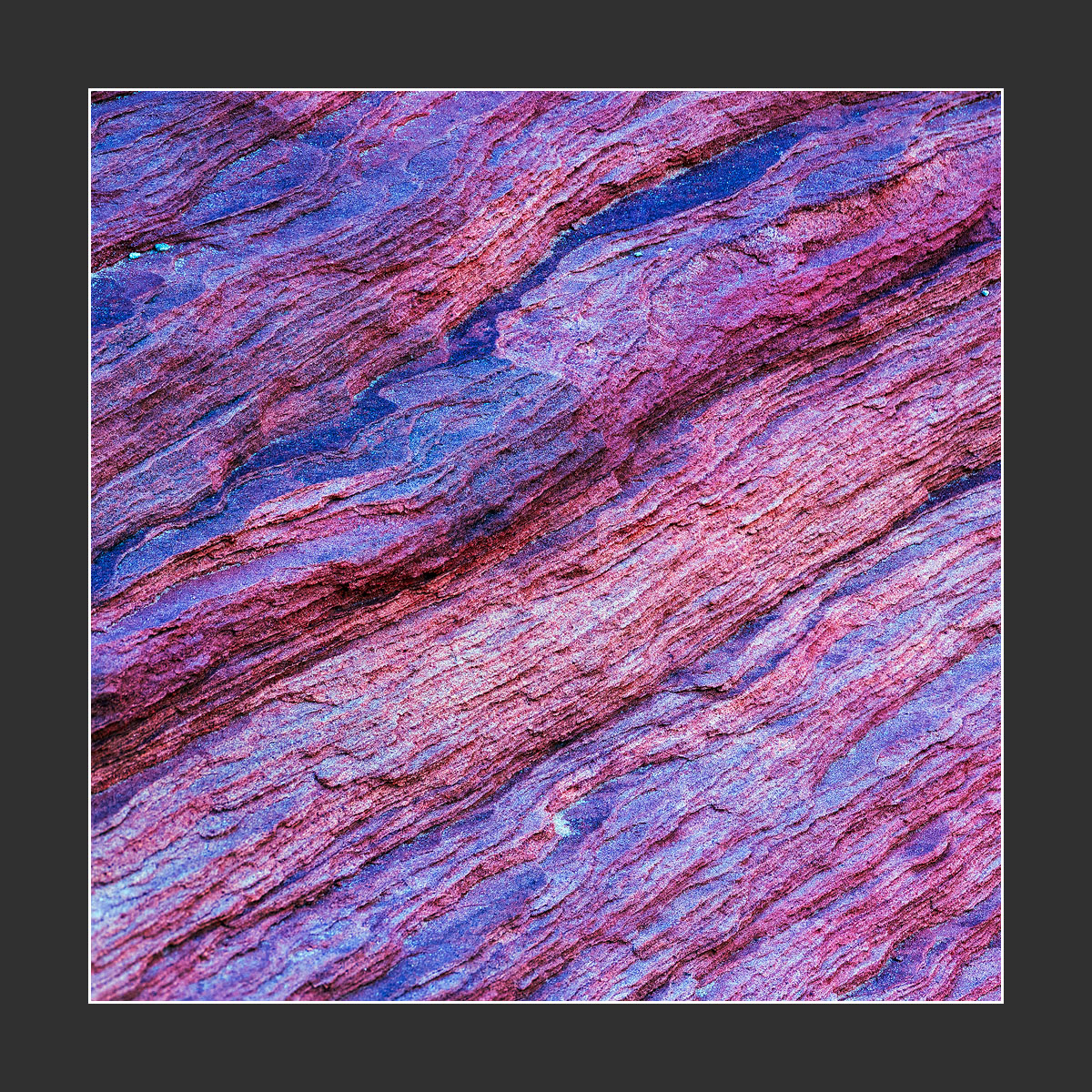 1200x1200 copy 2.jpg