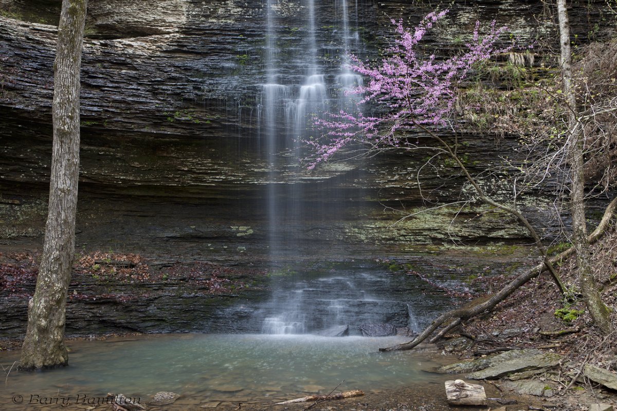 120318_BH_8165.jpg