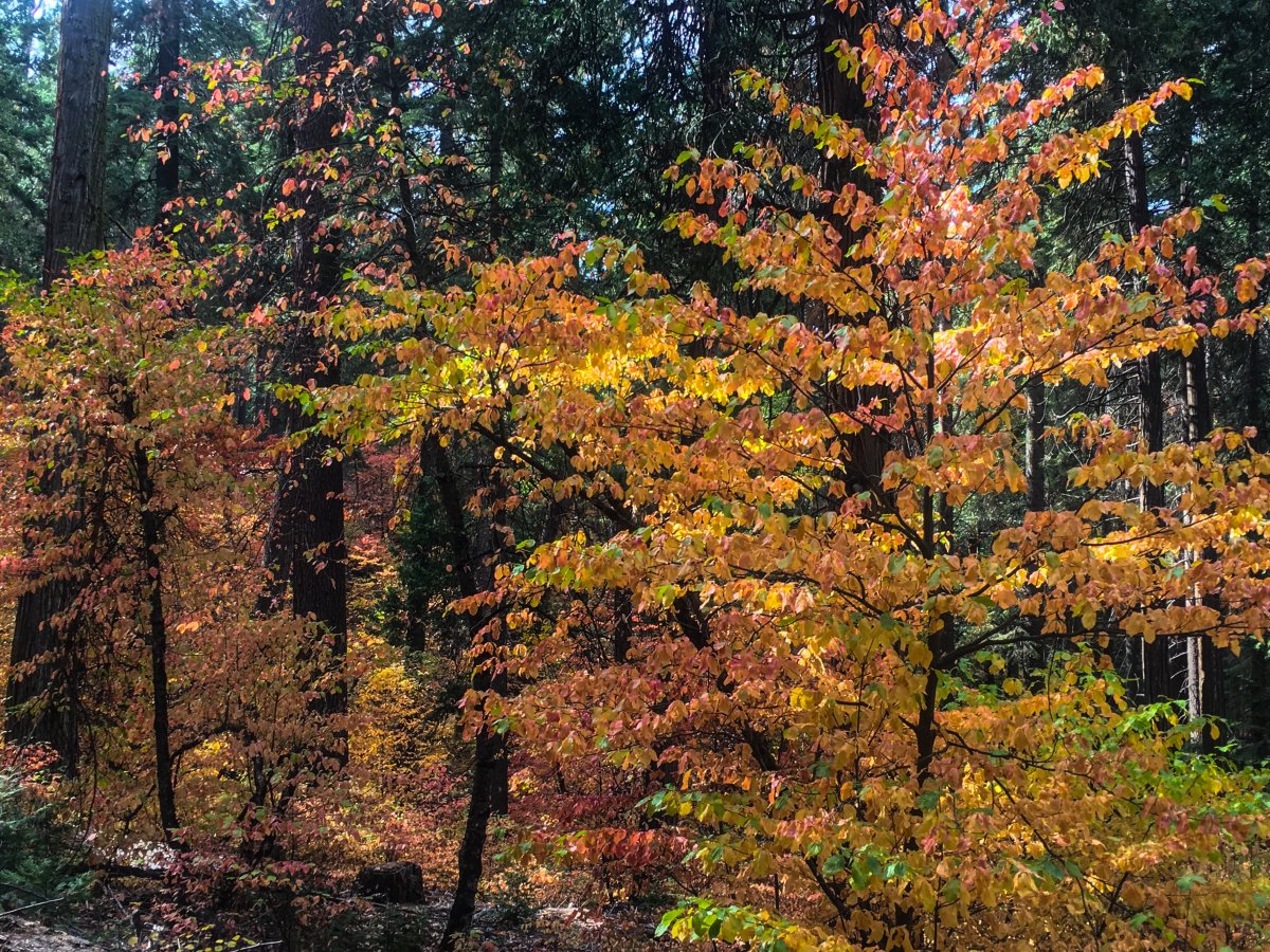 12548D8A-8186-444C-8130-D79C78A1D05E.jpeg