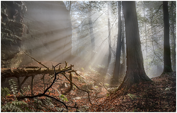 12_Isolated_Light_Ken.jpg