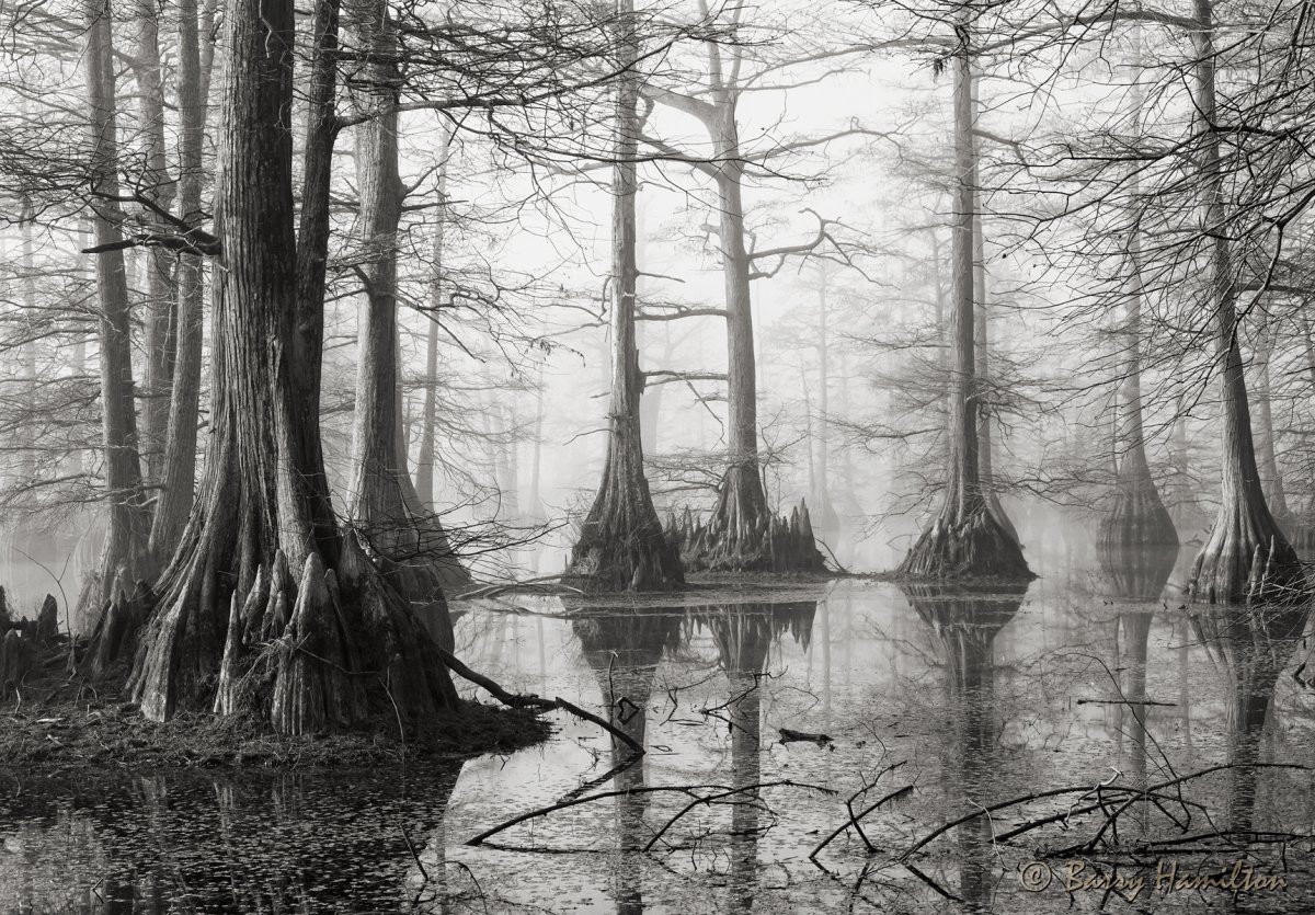 130106_BH_8113bw.jpg