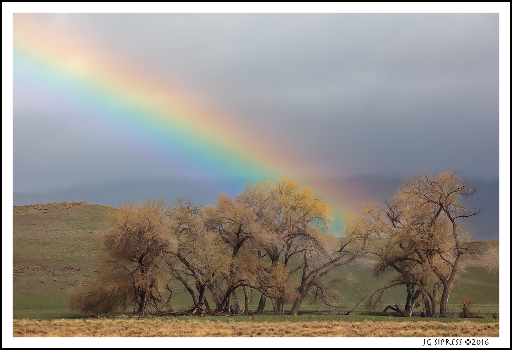138rainbow1.jpg