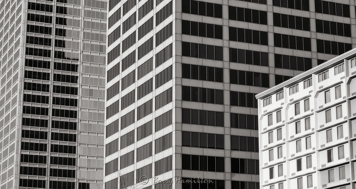 140319_BH_3708bw.jpg
