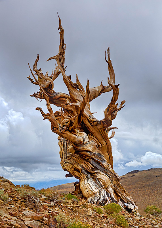140928-9976-5dm3_HDR 5x7 light.jpg
