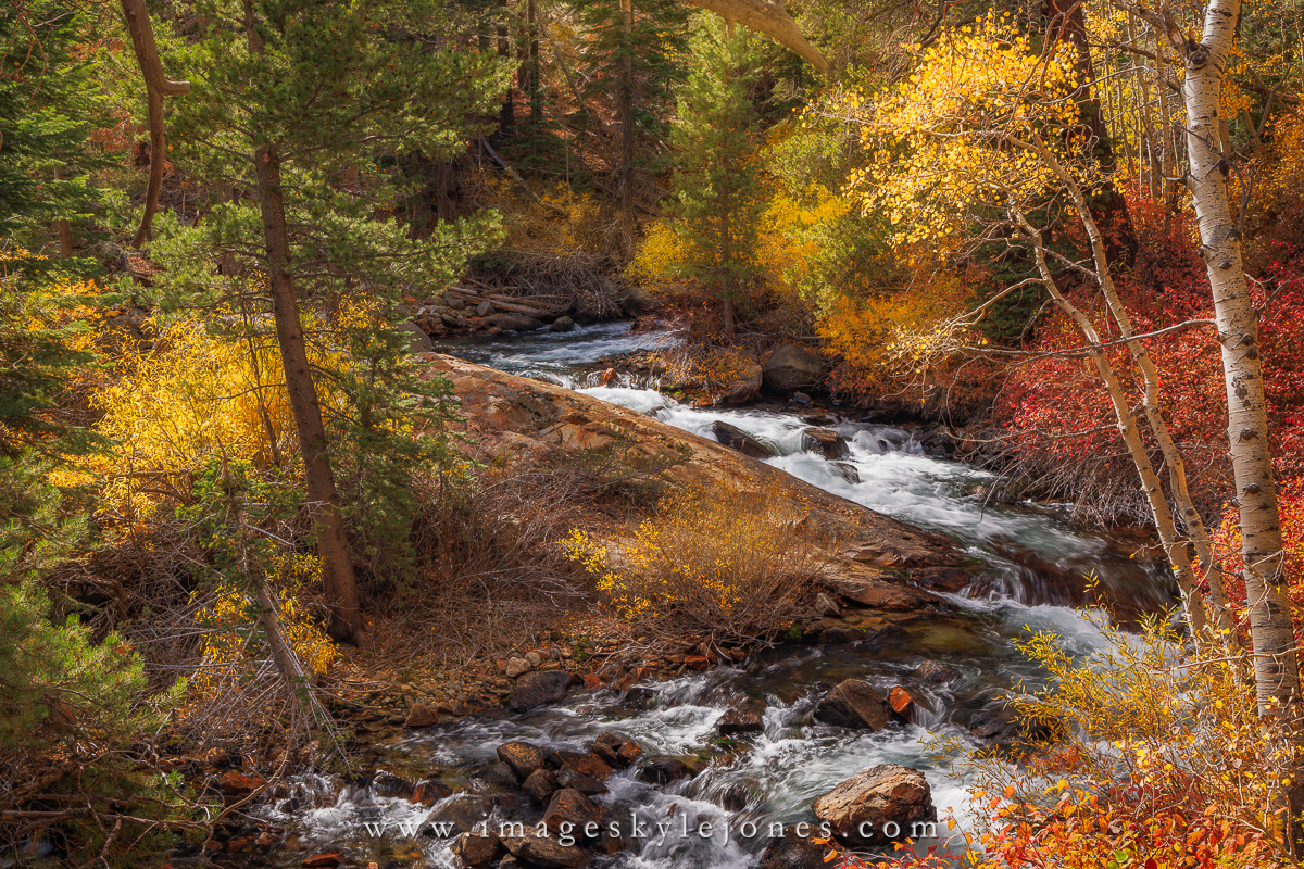 1461 Lee Vining Creek Landscape_1200.jpg