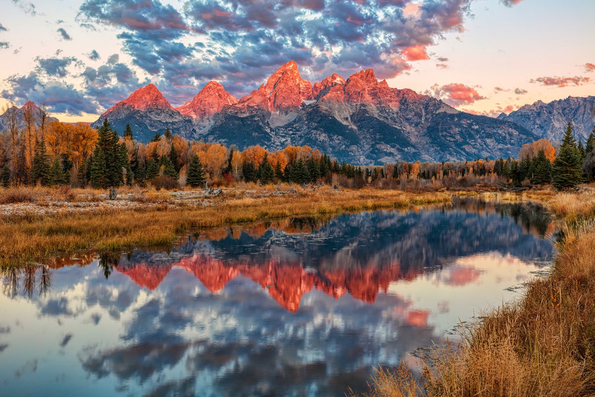 150929-2014-5DS- R 112919 crop.jpg