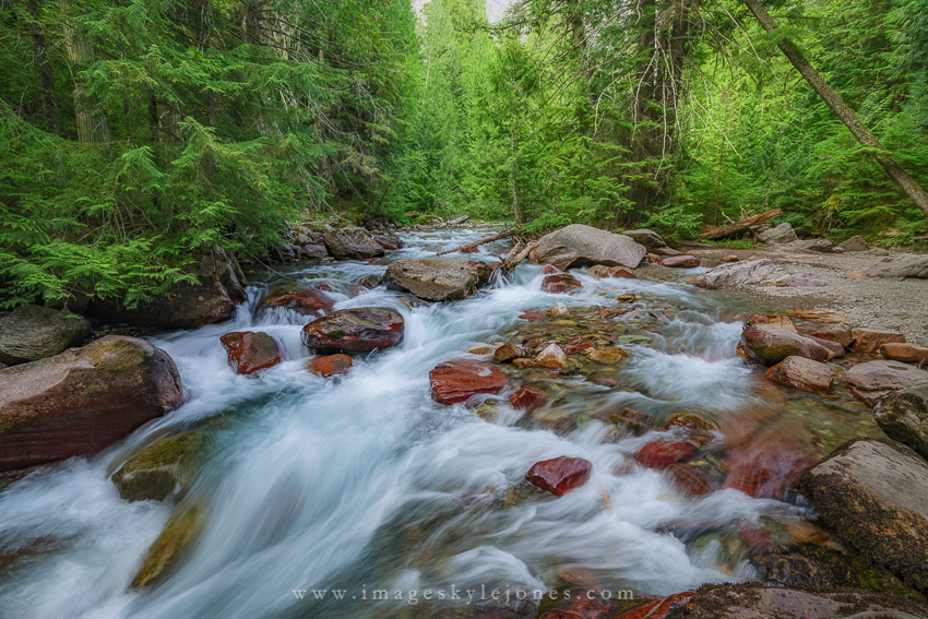1538 Avalanche Creek Summer_850.jpg