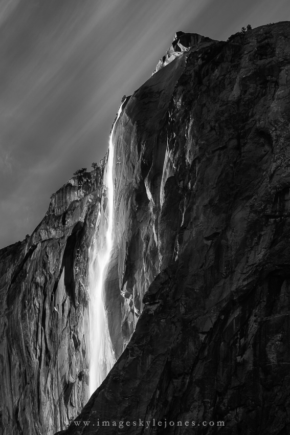 1571 Black and White Horsetail_850.jpg