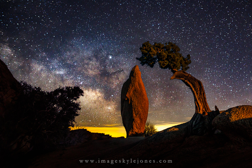1598 Joshua Tree Moonlit Milky Way_850.jpg